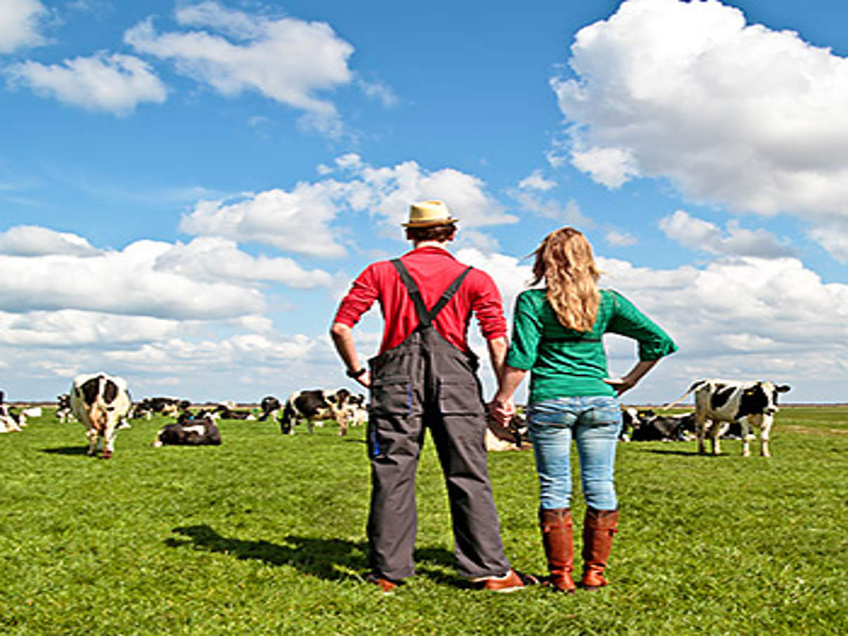 350 bauer ostsee c iStock Getty Images Ostsee-Landwirt © iStock / Getty Images