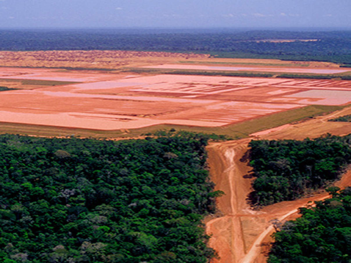 350 Amazonas Abholzung c Istock Getty Images 116280241 Entwaldung im Amazonasgebiet © iStock / Getty Images