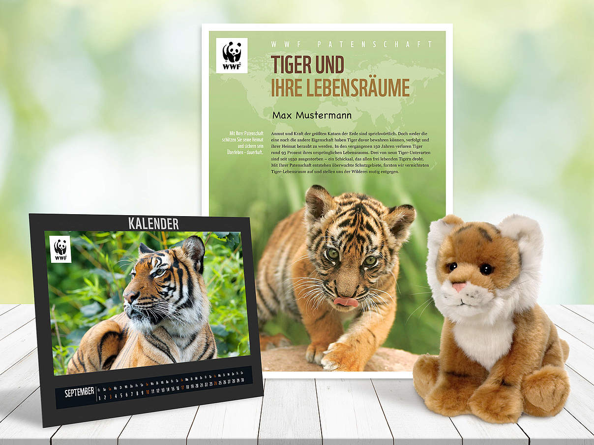 Begrüßungspaket Tiger-Patenschaft © WWF Begrüßungspaket Tiger-Patenschaft © WWF