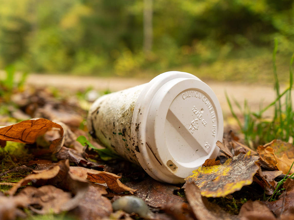 Plastikbecher in der Umwelt © GettyImages Plastikbecher in der Umwelt © GettyImages