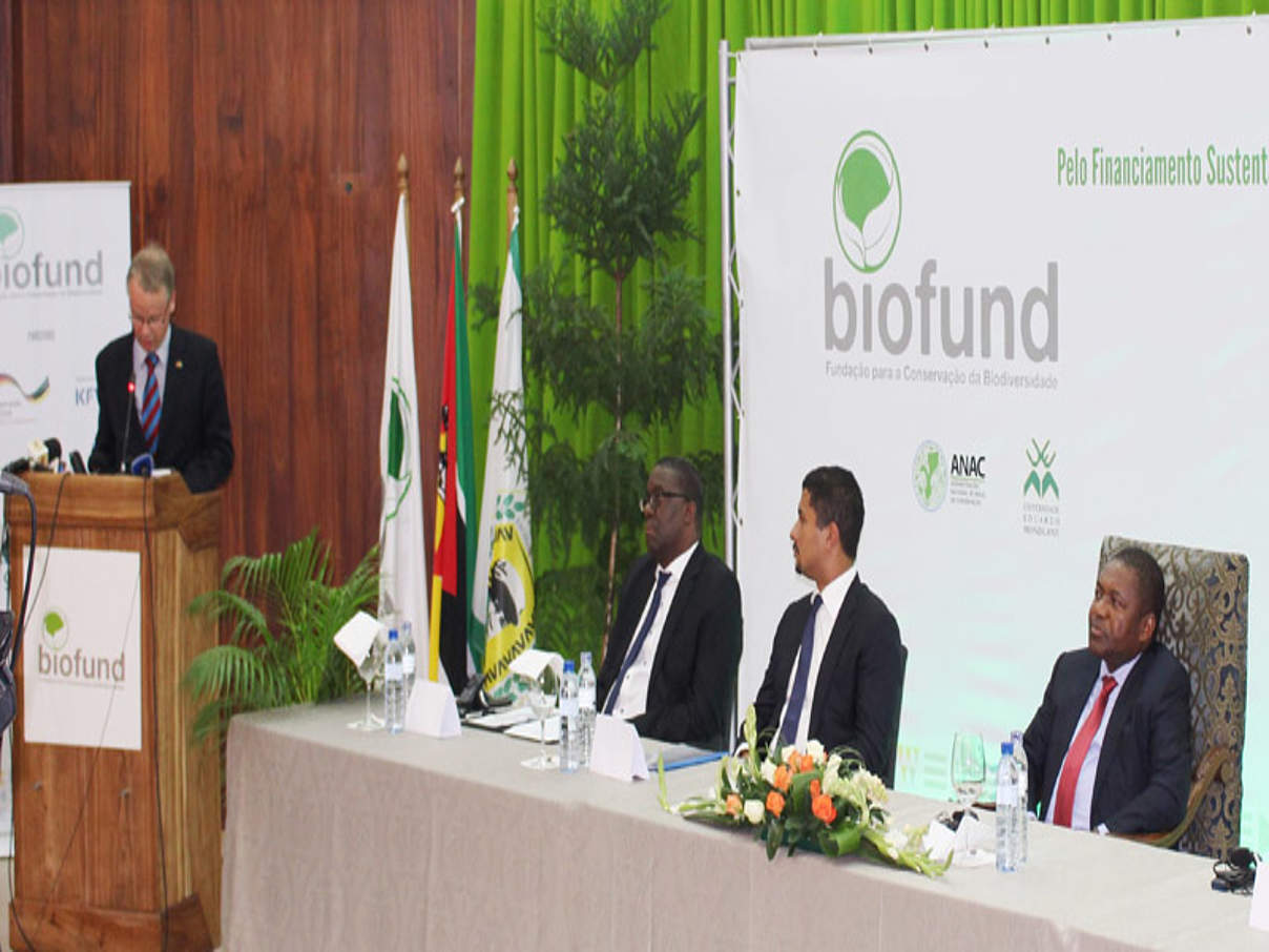 800 Biofund c WWF v.l.n.r.: Philipp Schauer, Deutscher Botschafter; Orlando Quilambo, Rektor der Eduardo Mondlane University; Celso Correia - Minister für Land, Umwelt und ländliche Entwicklung; Filipe Nyusi, Präsident Mosambiks © WWF