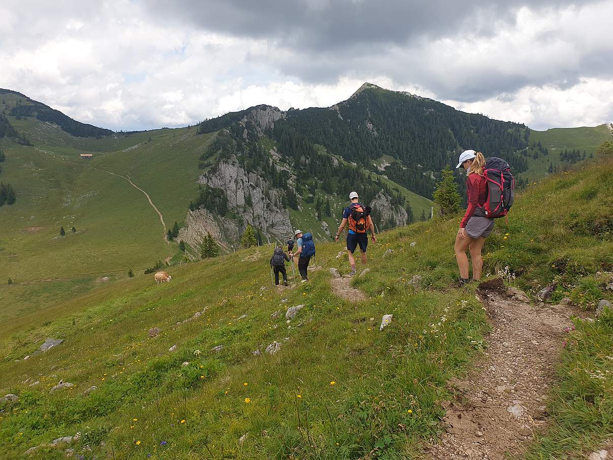 Grüne Wiesen in den Alpen © Daniel Lemke Grüne Wiesen in den Alpen © Daniel Lemke