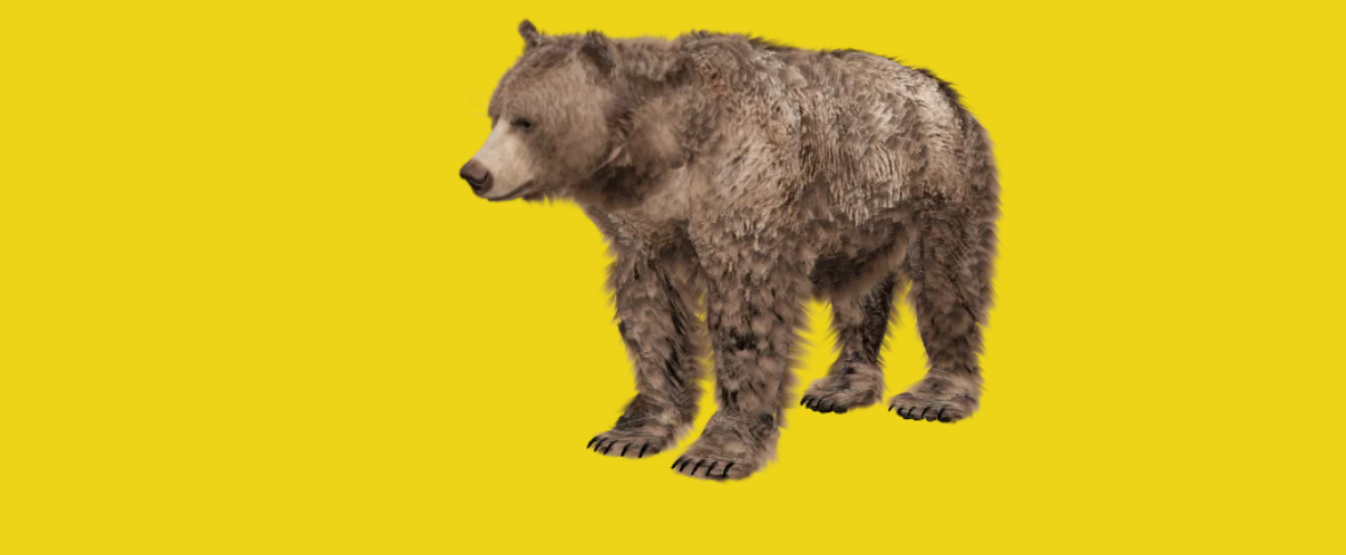 AR-Bär © WWF