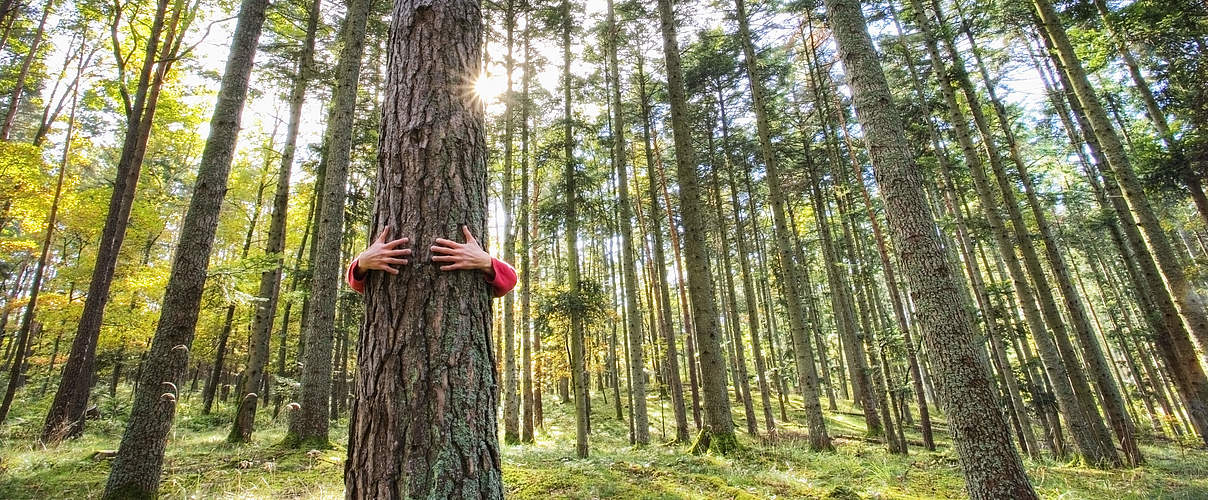 Waldumarmung © conceptualmotion / iStock / Getty Images Plus