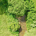 Baunach © WWF