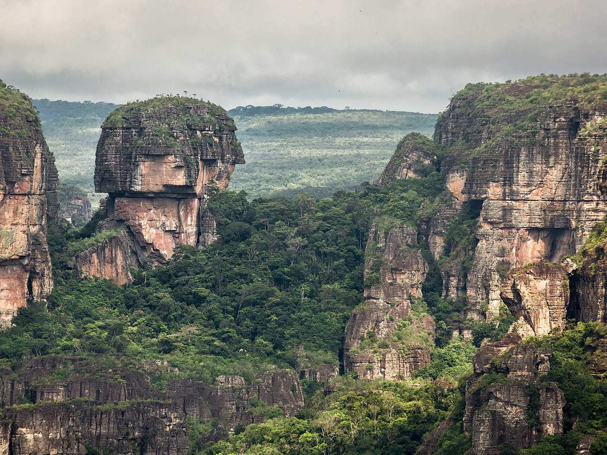 Chiribiquete National Park © César David Martínez